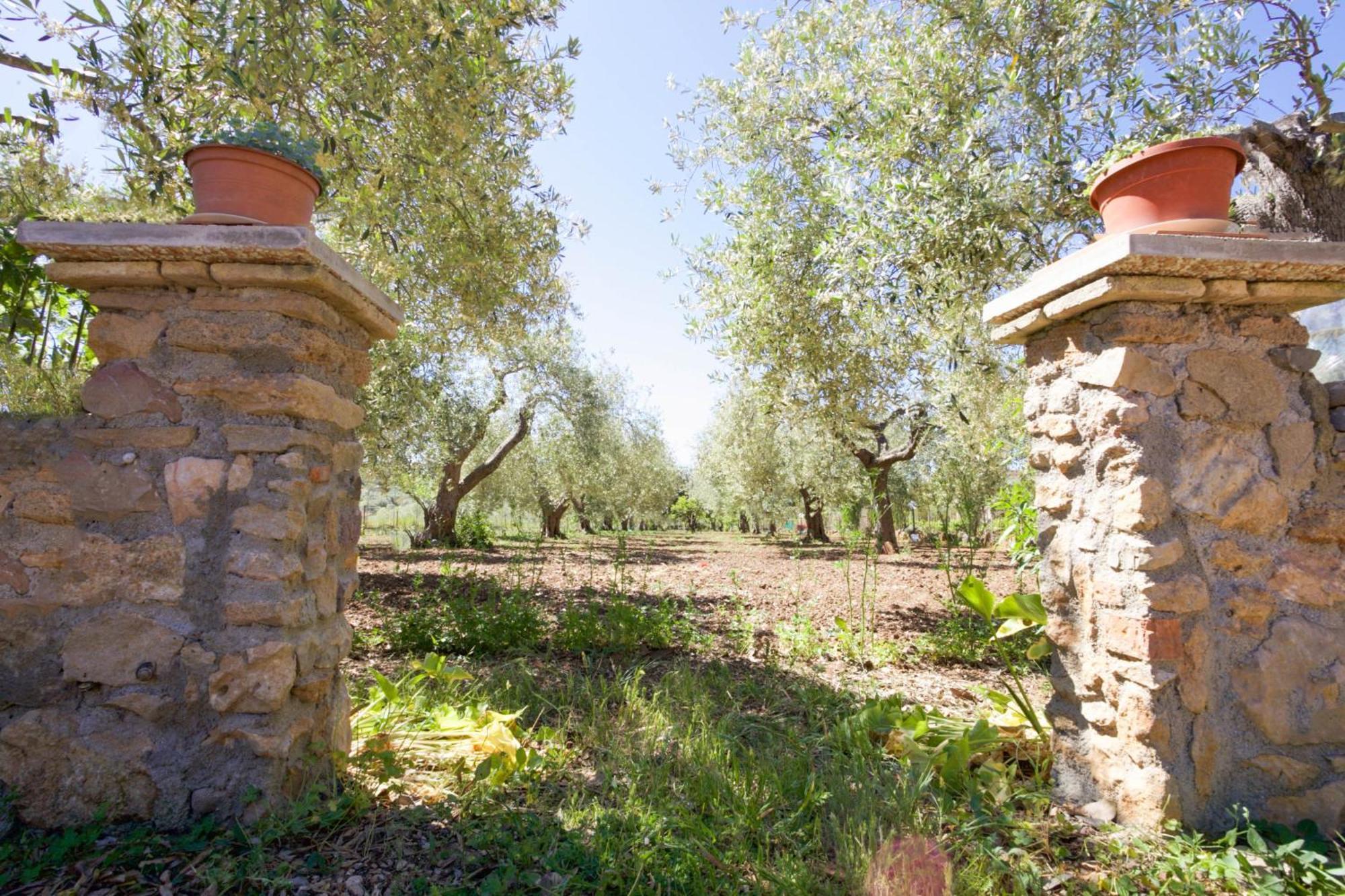 Villa Pedra Moro Alghero Exterior foto